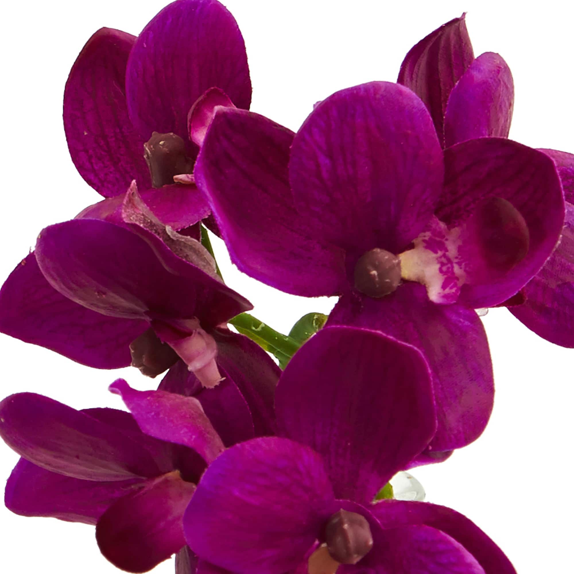9" Orchid Arrangement in Glass Vase Set